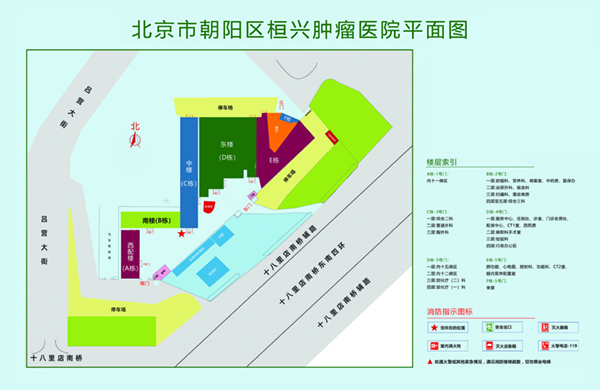 做爱啊啊快点激情视频北京市朝阳区桓兴肿瘤医院平面图